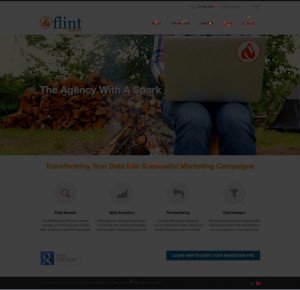 CrazyEgg Clickmap (Confetti): Flint Analytics Home Page